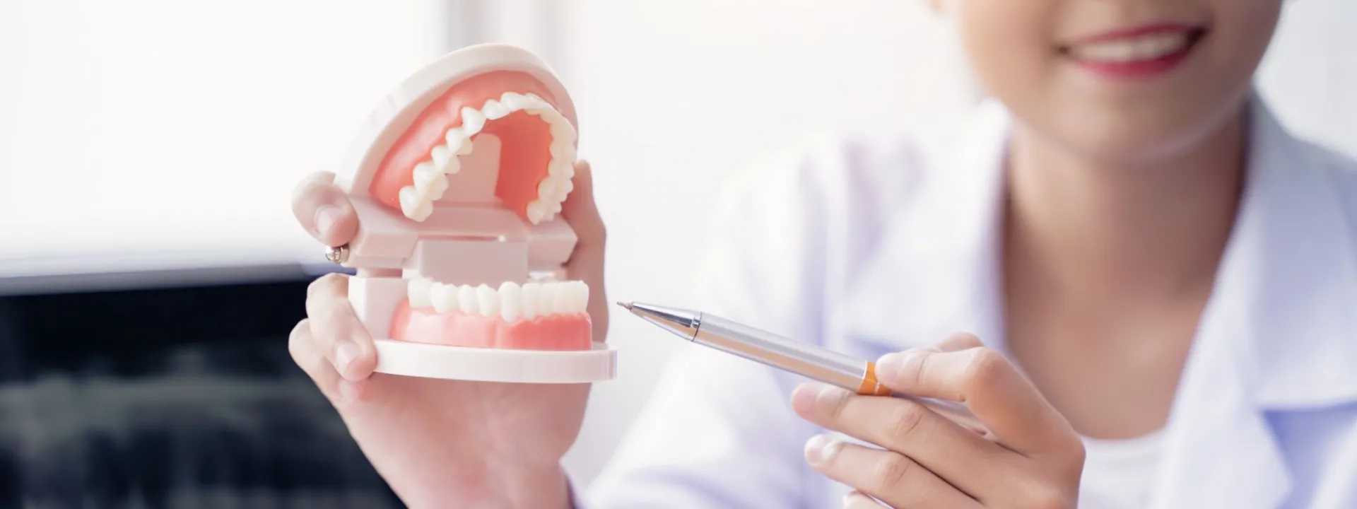 numérotation des dents